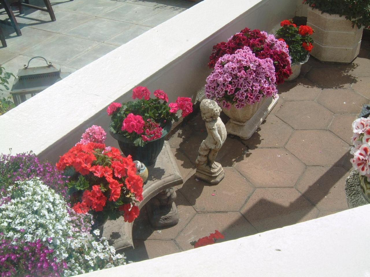 Manor House B And B Ларн Екстериор снимка
