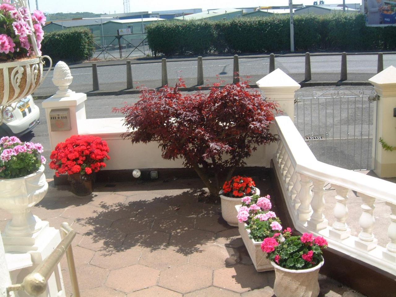 Manor House B And B Ларн Екстериор снимка