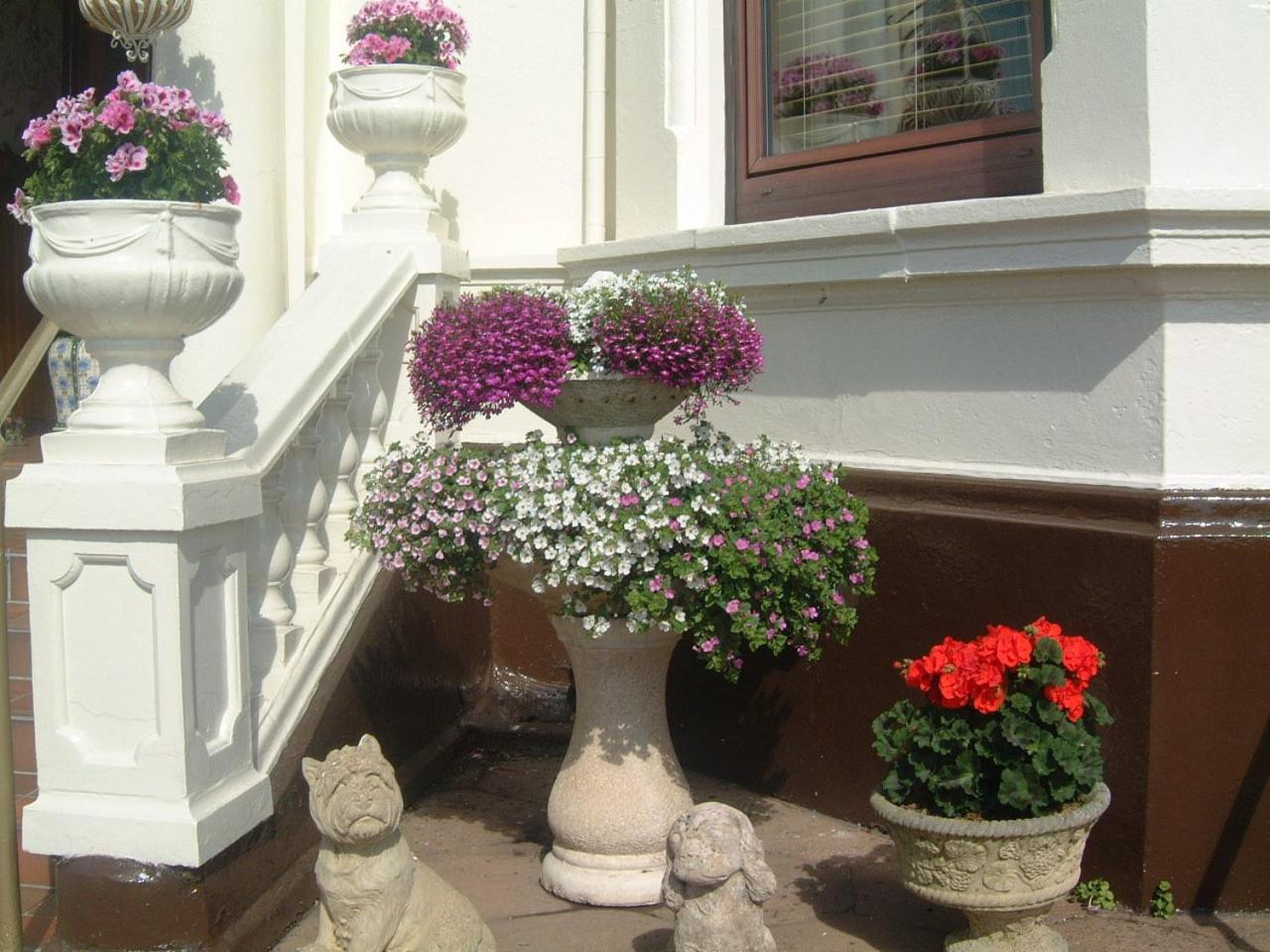 Manor House B And B Ларн Екстериор снимка